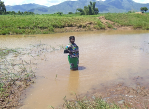 A woman wades through flood waters in southern Malawi's Mulanje District. Photo: Caleb Muchungu IRIN