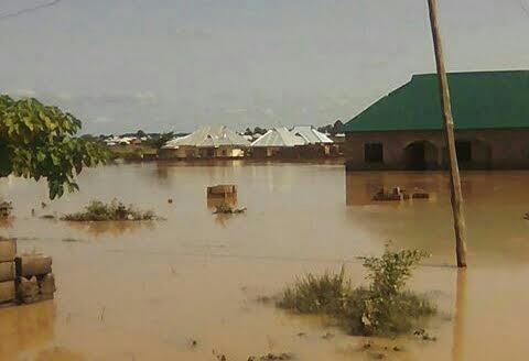 Kaduna, the flood dozens of farm lands. Photo: Mohammad Ibrahim/The AfricaPaper