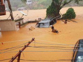 A car is submerged in the water of a flooded area.